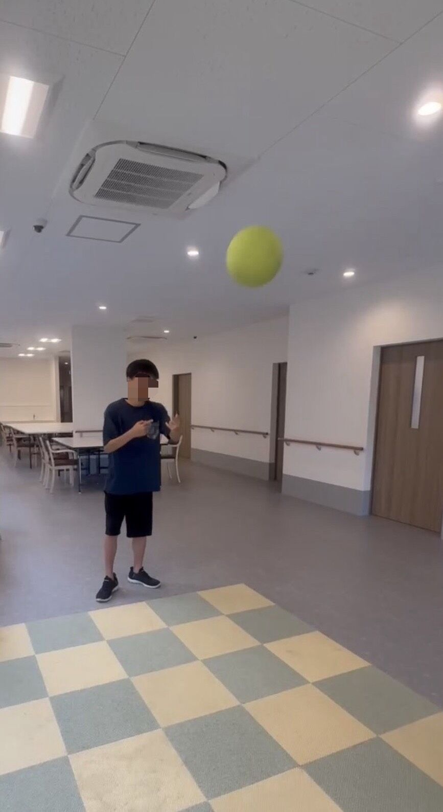 新しい仲間が増えました！
